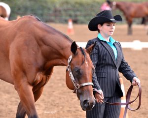 bry_7927-a-thompson-web-image